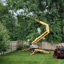 Best Tree Risk Assessment  in Markesan, WI